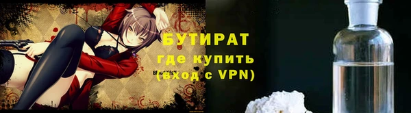 сатива Краснослободск