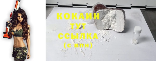 крисы Коряжма