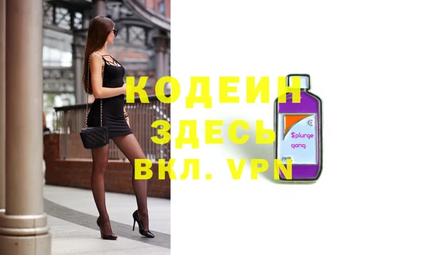 шишки Корсаков