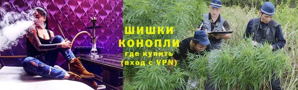 шишки Корсаков