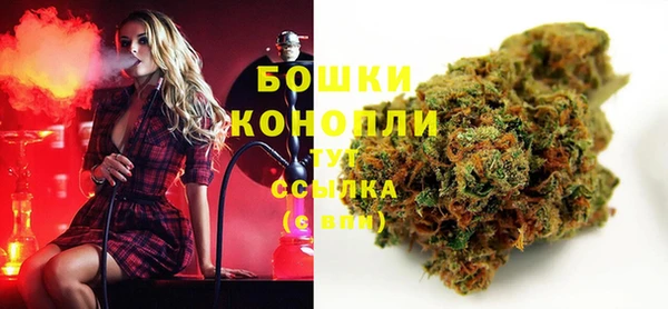 шишки Корсаков