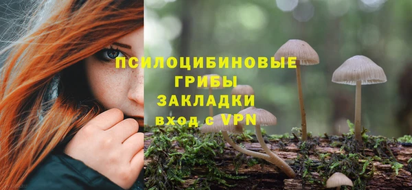 метадон Костерёво