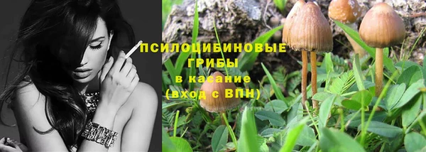 крисы Коряжма