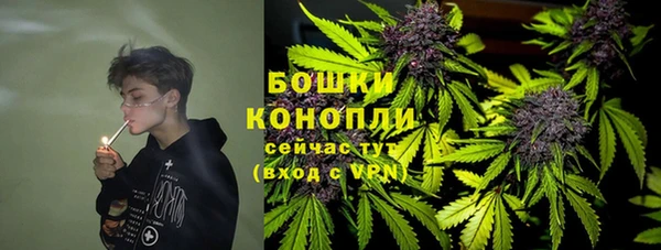 сатива Краснослободск