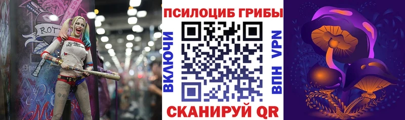 Галлюциногенные грибы мухоморы  где купить   Каспийск 